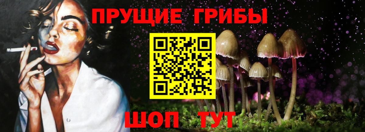 Псилоцибиновые грибы мухоморы  Вход с VPN  цены наркотик  Галлюциногенные грибы мухоморы  Вятские Поляны 